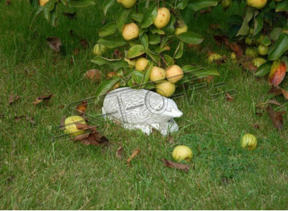 Garten Dekoration Igel Terrasse Stein Figuren Figur Deko Statue